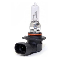 NTY (Balení 10 KS.) Halogenová Žárovka Halogen Bulb HB3 9005 12V 65W Standard/base Type: P20D (EZ-HB3900512V65W)