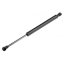 NTY Tlumič Skla Zadních Dveří L=315MM, F=550N VW Touareg 02-10 (7L6845587)