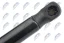 NTY Plynový Tlumič Zadních Dveří L=440MM, F=470N Mitsubishi Colt VI 04-12/3-Dveří (MR959243)