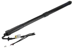 NTY Heckklappen-Gasfeder Citroen C4 PICASS0 13- linke Seite (9812129780)