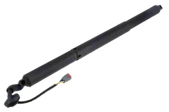NTY Tailgate Gas Strut Ford Explorer 19-, Left And Right Side (LB5BS402A55AE)