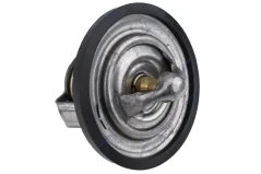 NTY Termostat Motorizace 3.5 Chrysler 300C 04- 300M 98- Concorde 97- Dodge Charger 05 (0489217AA)