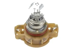 NTY (Pack 10 KS.) Bulb PS24W PS24W 12V 24W Standard/base Type: PG20-3/SPRZEDAJEMY Tylko PO 10 SZT. (PS24W)