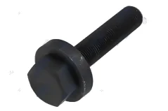Csavar M16X1,5 NPZ-SK-009 M16X1,5 (KSN-VW-003)